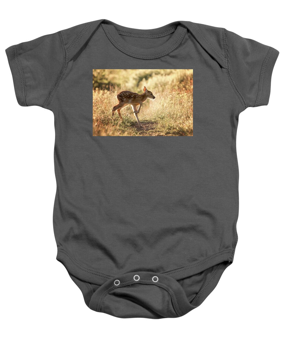 Shenandoah Baby Onesie featuring the photograph Fawn Crossing by Travis Rogers