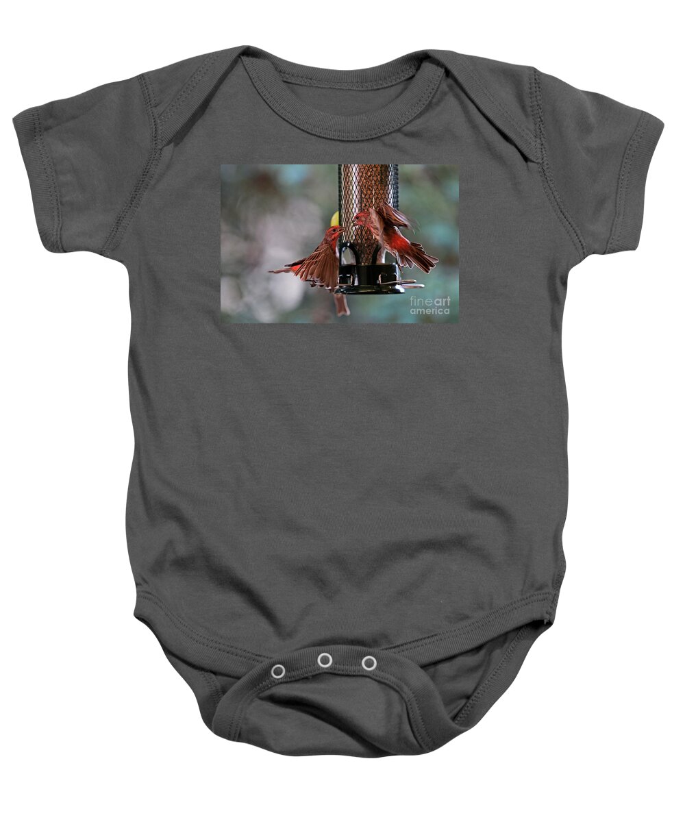 House Finch Baby Onesie featuring the photograph Fight at the Feeder by Amazing Action Photo Video