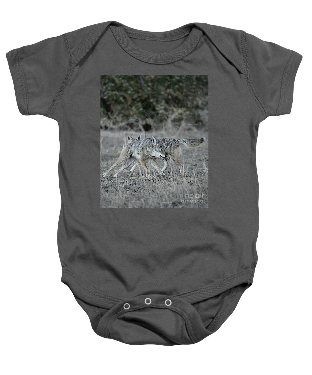 Coyote Baby Onesie featuring the digital art Fight Over Dinner by Tammy Keyes