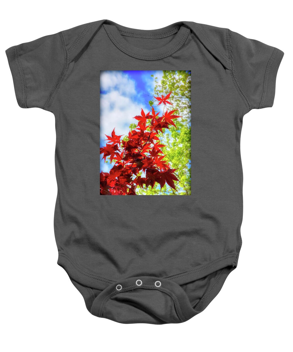 Leaf Baby Onesie featuring the photograph Fire Red Maple by Loyd Towe Photography