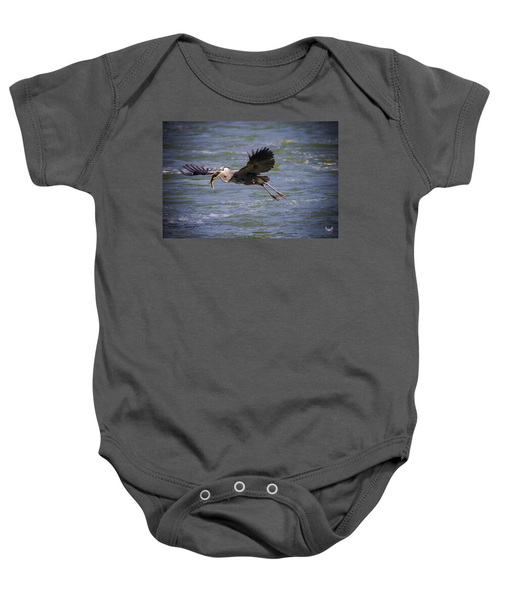 Greatblueheron Baby Onesie featuring the photograph Fishing on the Fly by Pam Rendall