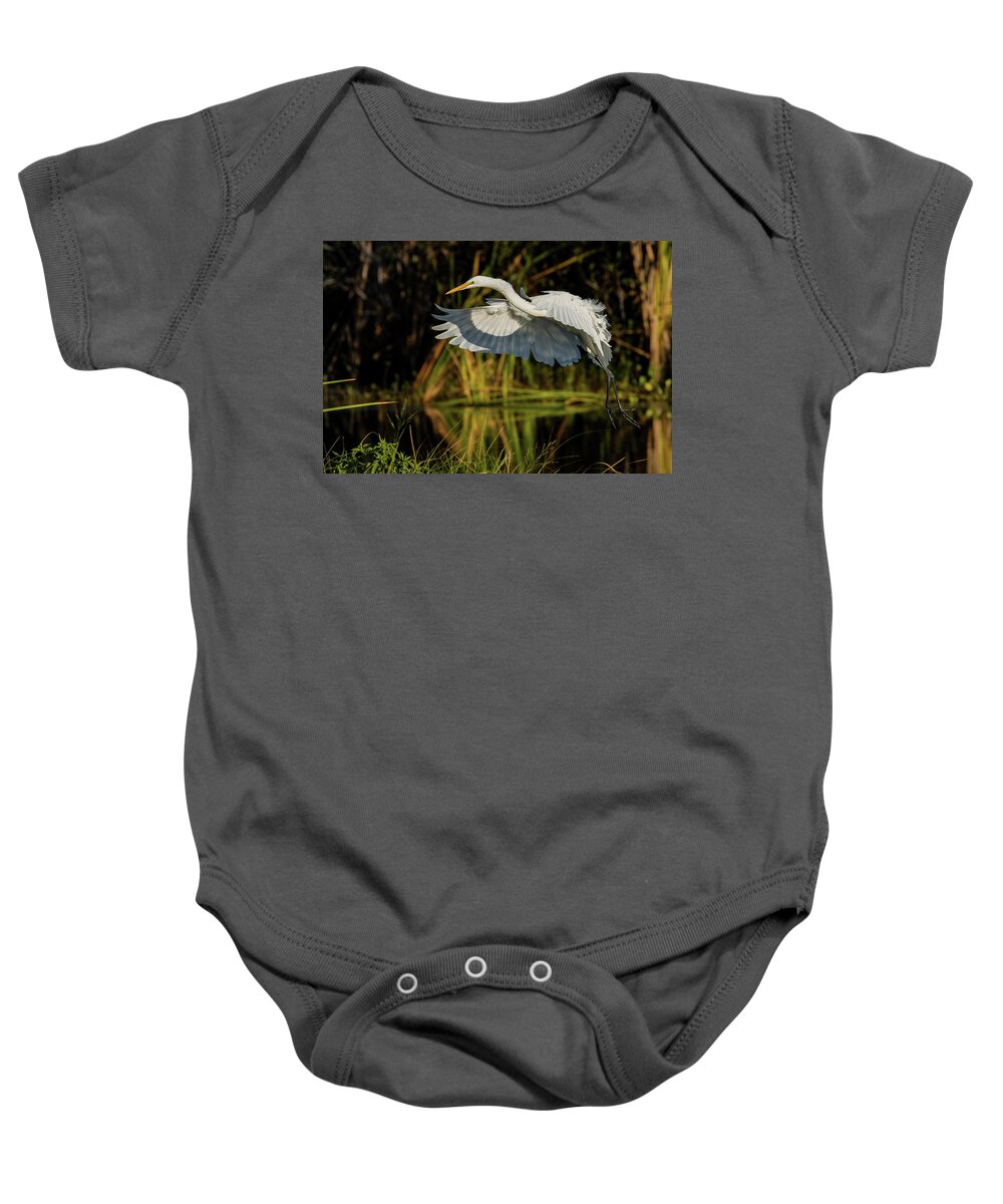 Birds Baby Onesie featuring the photograph Flaps Down by RD Allen