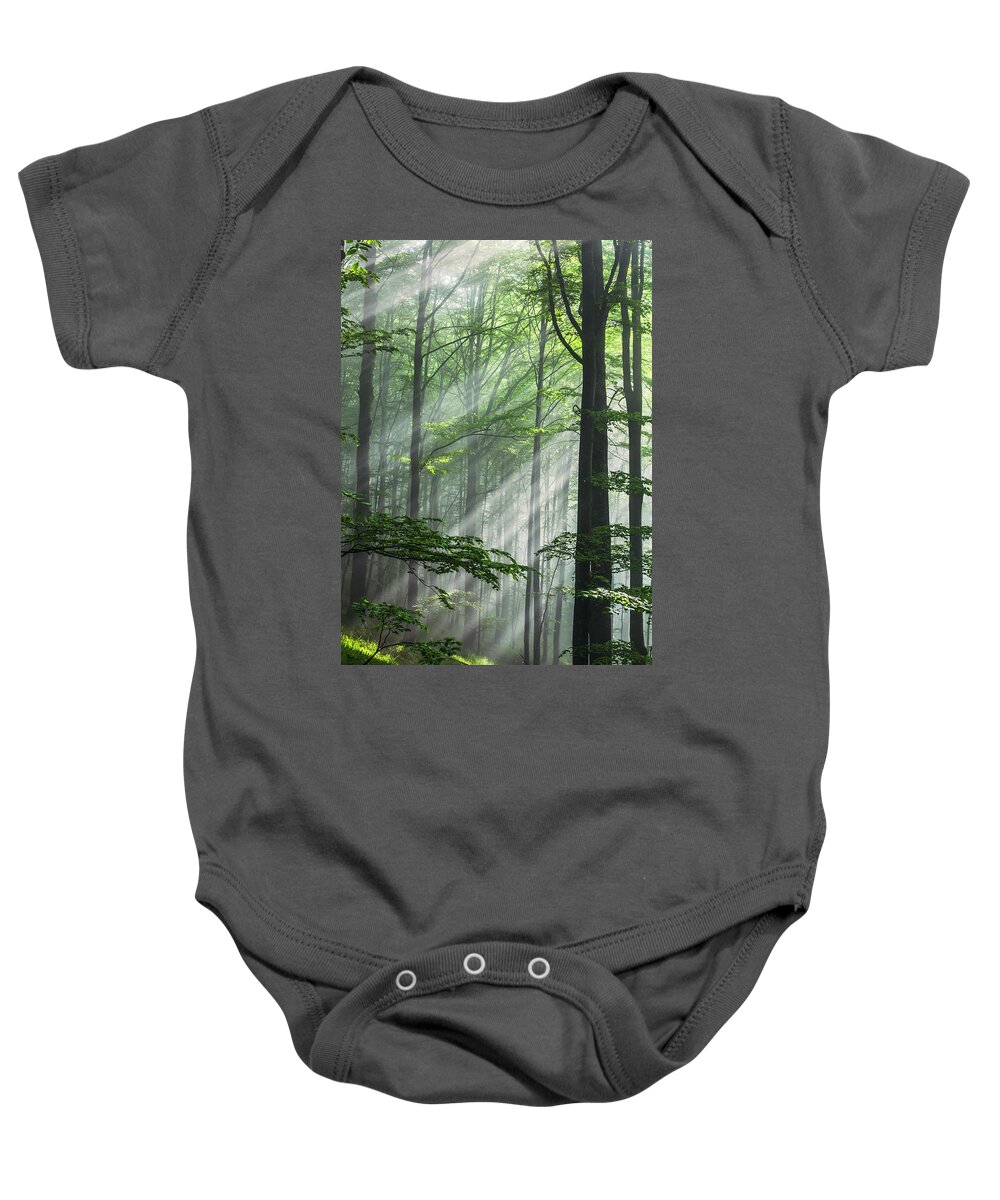 Fog Baby Onesie featuring the photograph Fleeting Beams by Evgeni Dinev