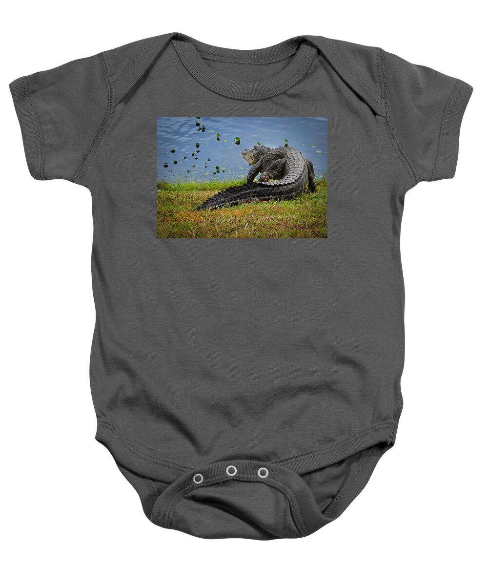 Aligator Baby Onesie featuring the photograph Florida Gator by Larry Marshall
