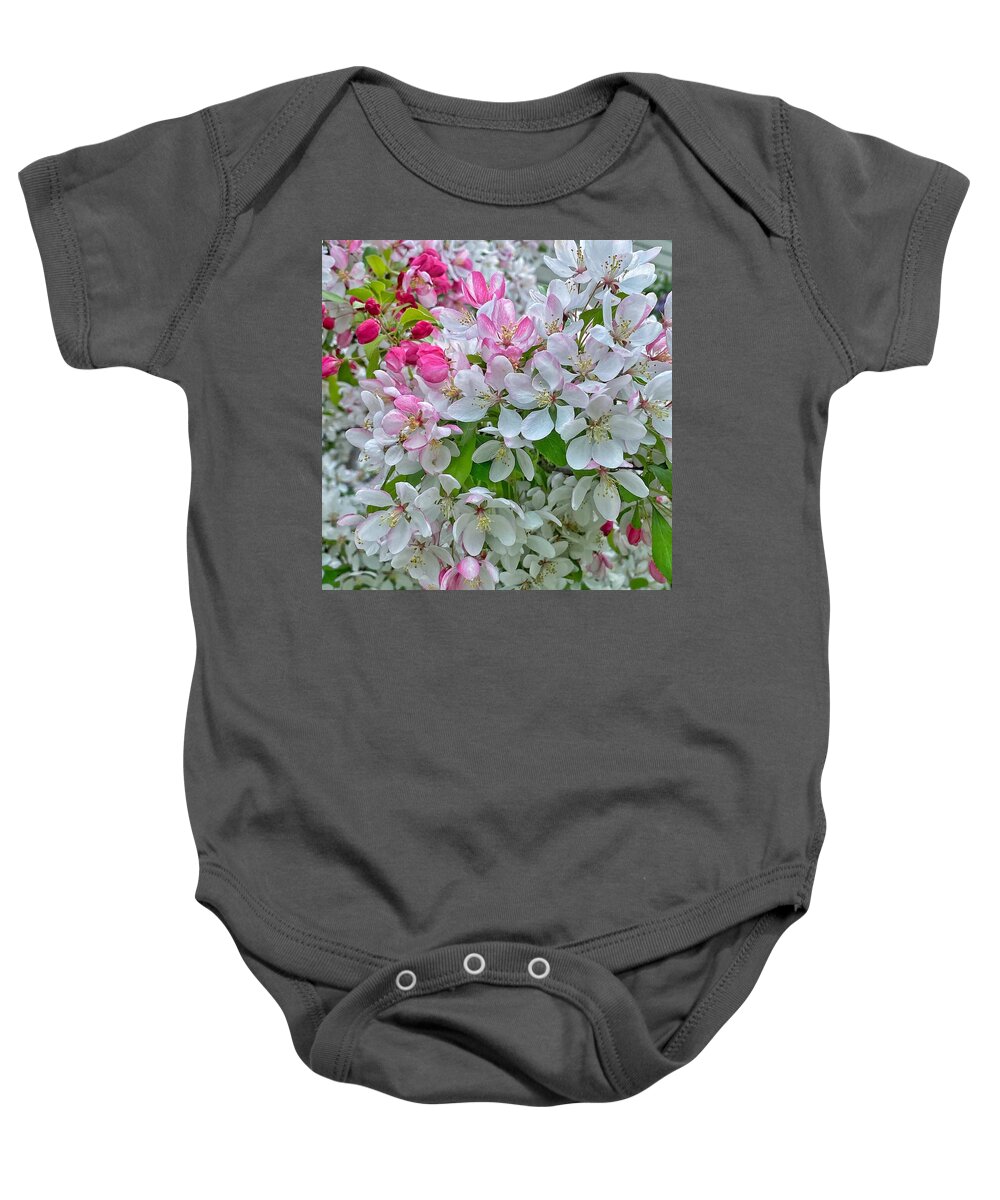 Tree Baby Onesie featuring the photograph Flowering Crabapple Tree by Jerry Abbott