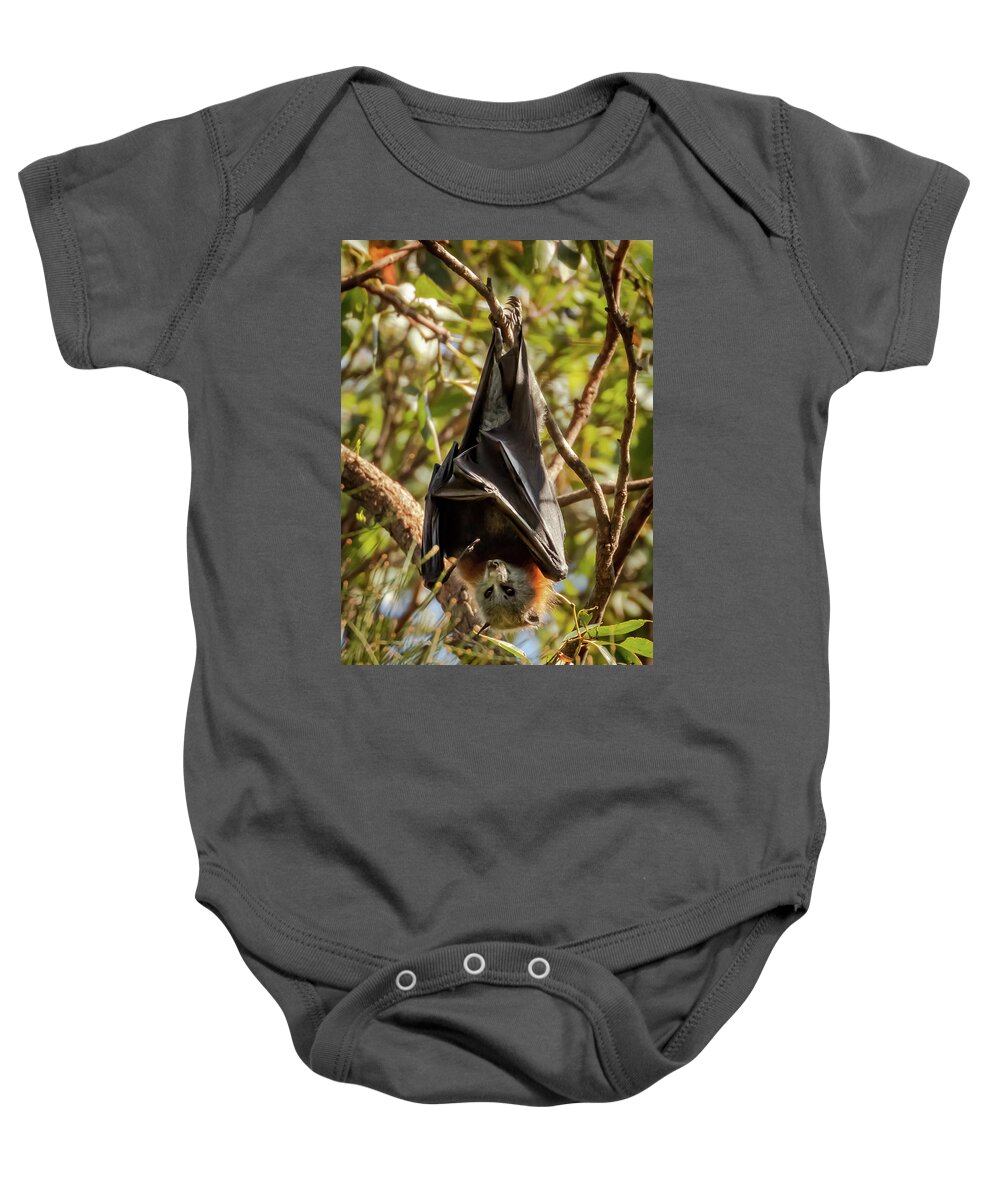 Australia Baby Onesie featuring the photograph Flying Fox by Chris Cousins