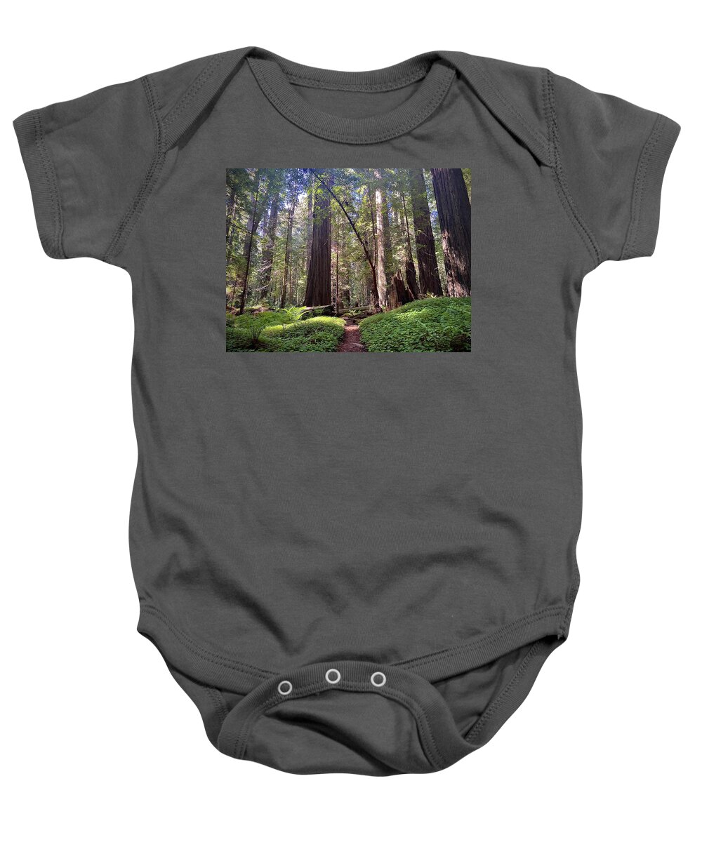Redwoods. Humboldt County. Trees Baby Onesie featuring the photograph Forest Bathe by Daniele Smith