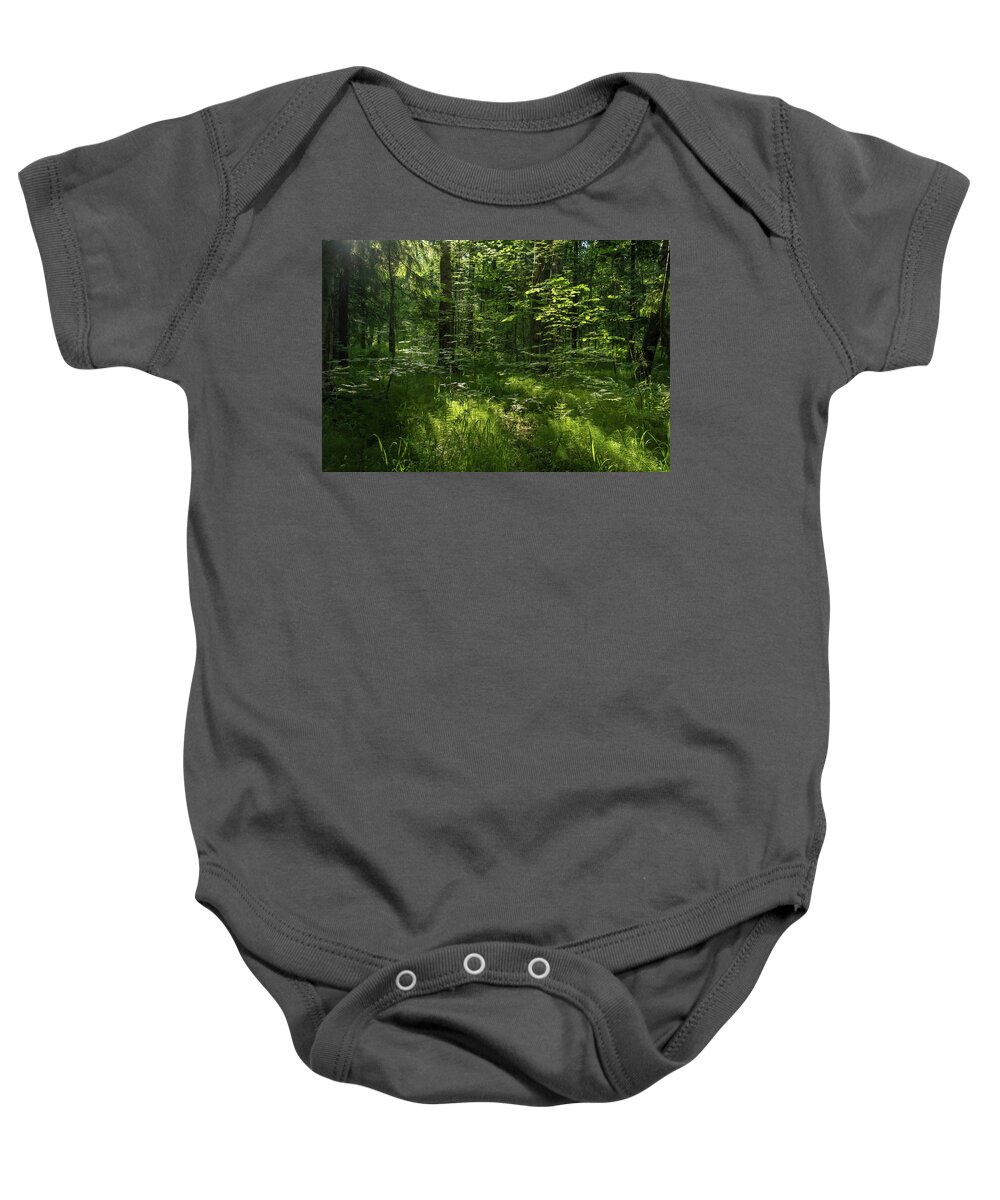 Forest Baby Onesie featuring the photograph Forest landscape with trees and sun by Mikhail Kokhanchikov