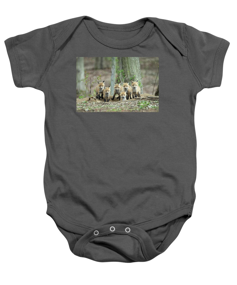 Fox Baby Onesie featuring the photograph Fox Family Portrait by Everet Regal