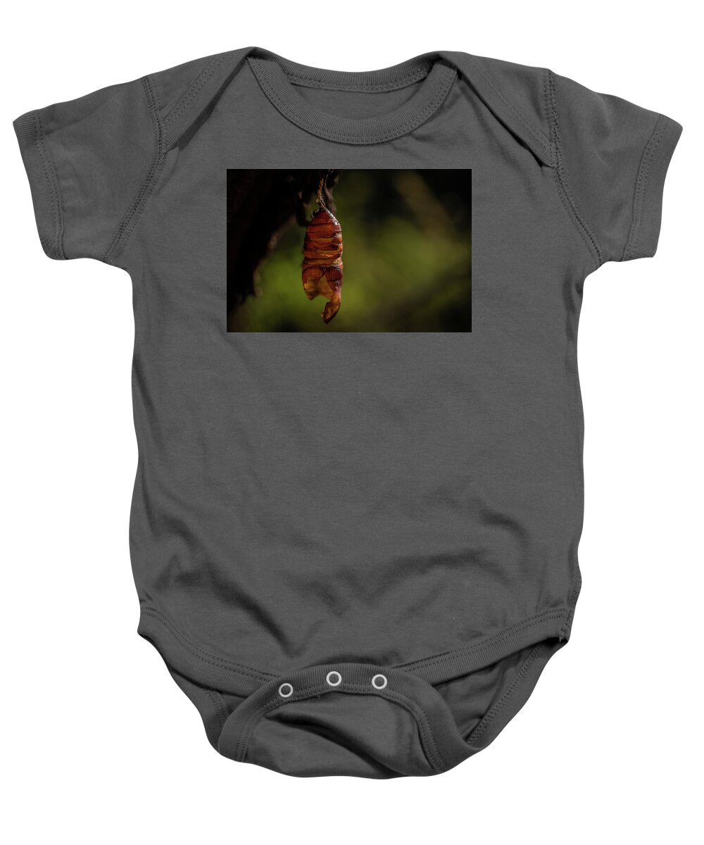 Chrysalis Baby Onesie featuring the photograph Freedom by Linda Howes
