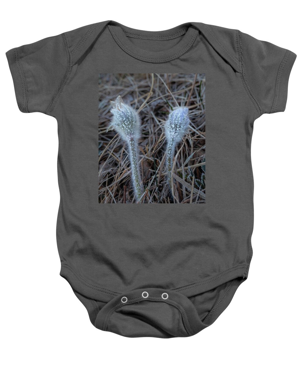 Frost Baby Onesie featuring the photograph Frost on spring pasqueflower by Phil And Karen Rispin