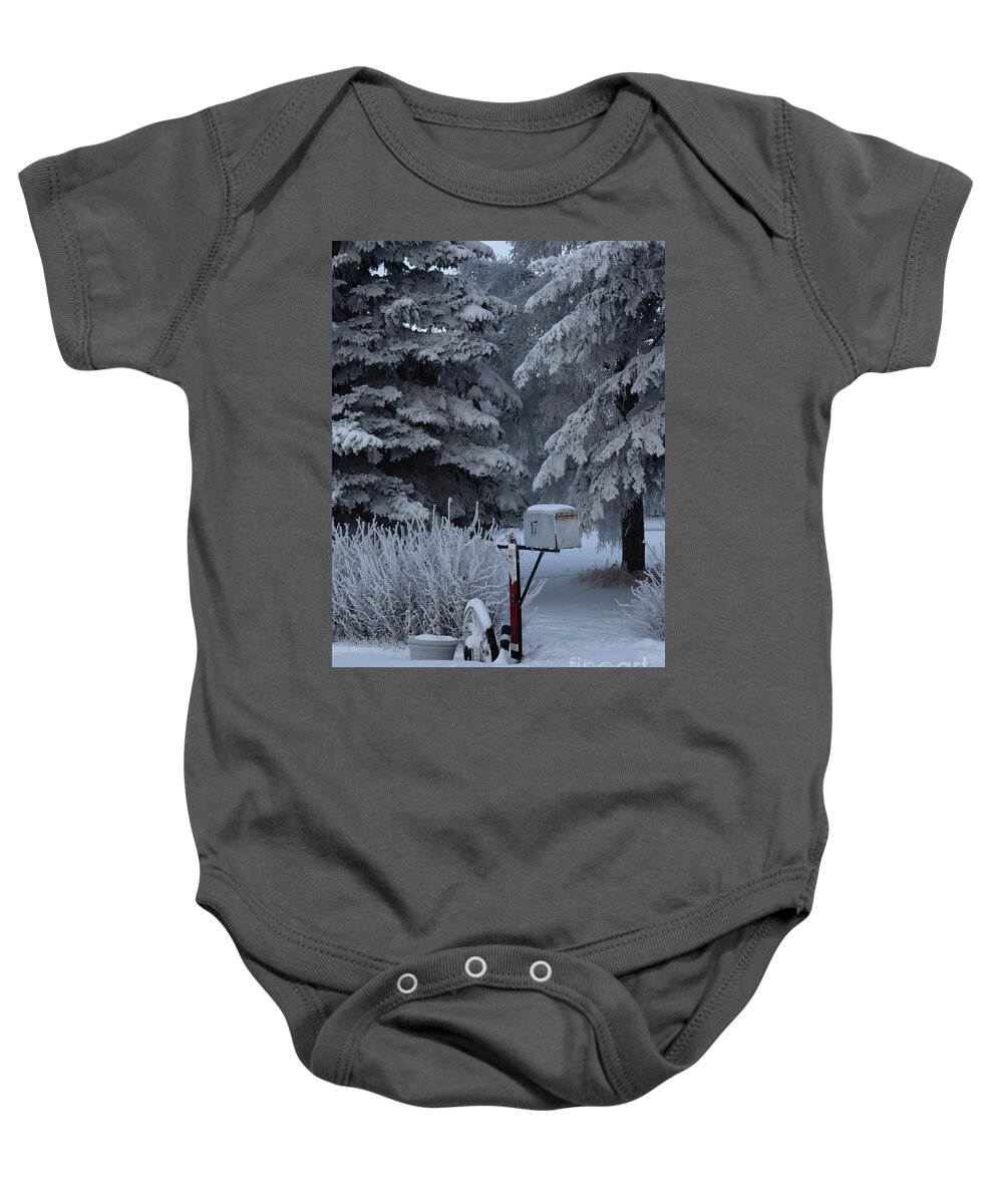 Mailbox Baby Onesie featuring the photograph Frosty mailbox by Lisa Mutch