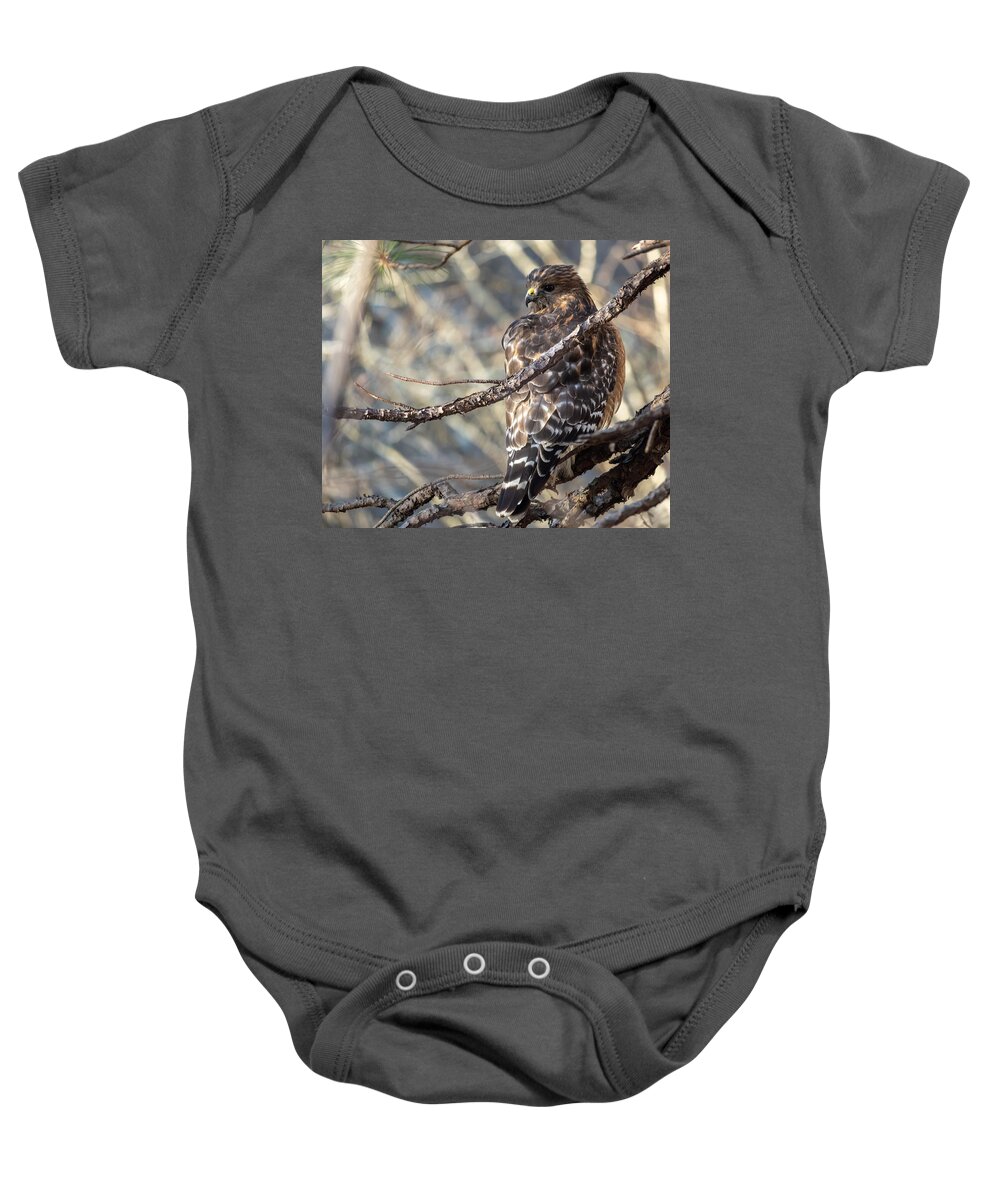 Bird Baby Onesie featuring the photograph Full Body Looking Back by Rick Nelson