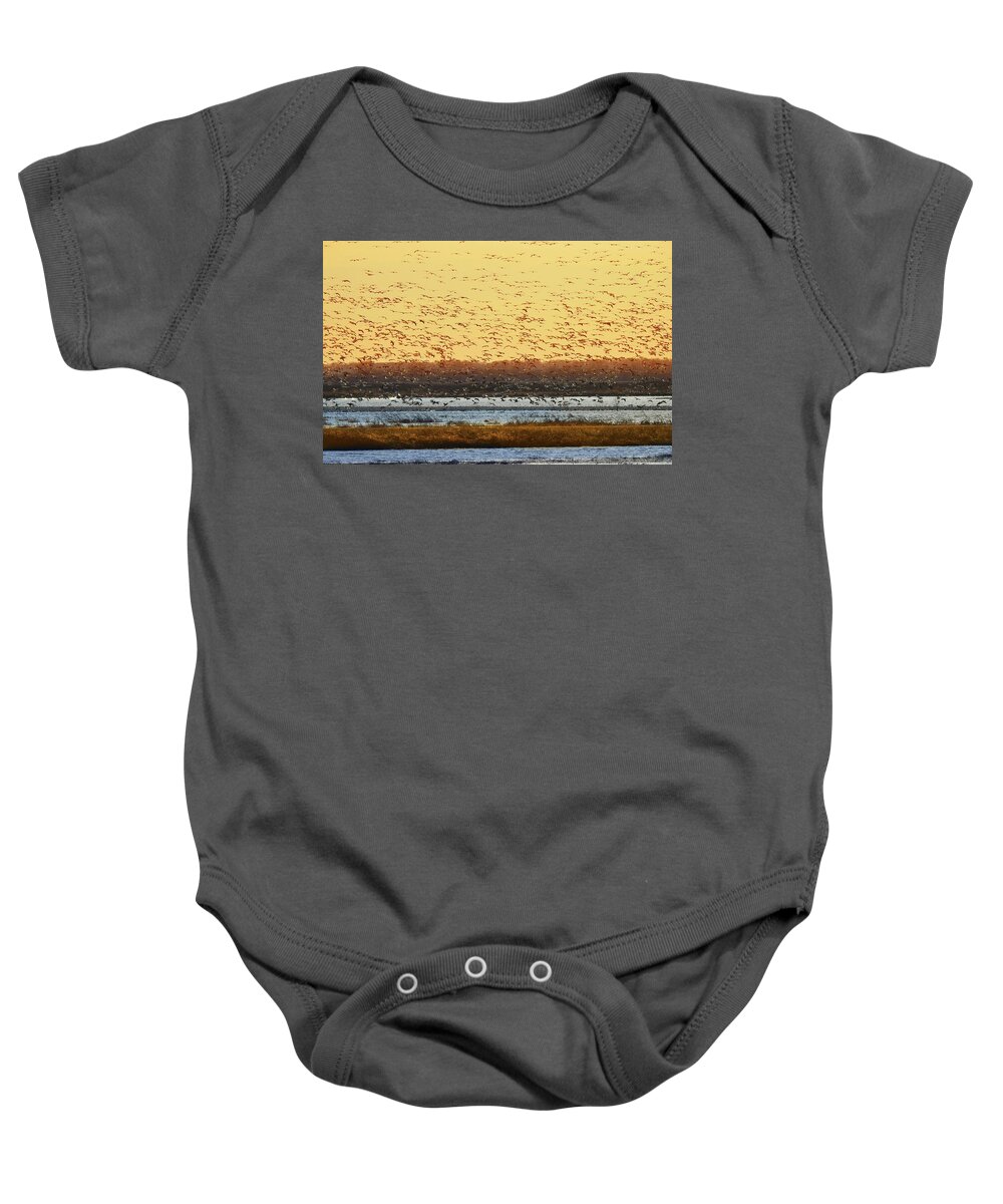 Geese Baby Onesie featuring the photograph Geese in Golden Light by Rod Seel