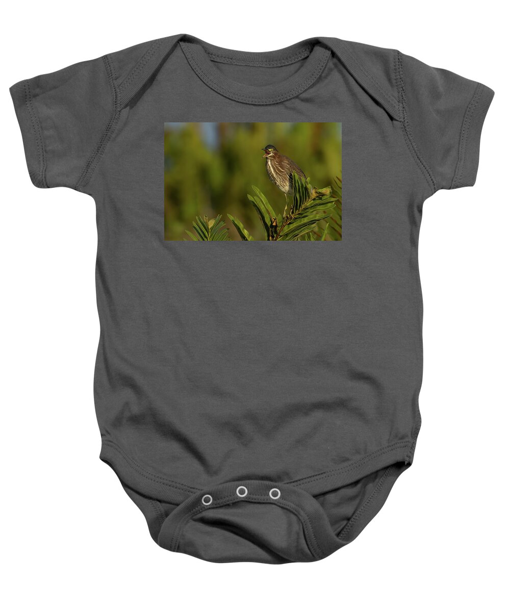 Green Heron Baby Onesie featuring the photograph GH Talking 1 by RD Allen