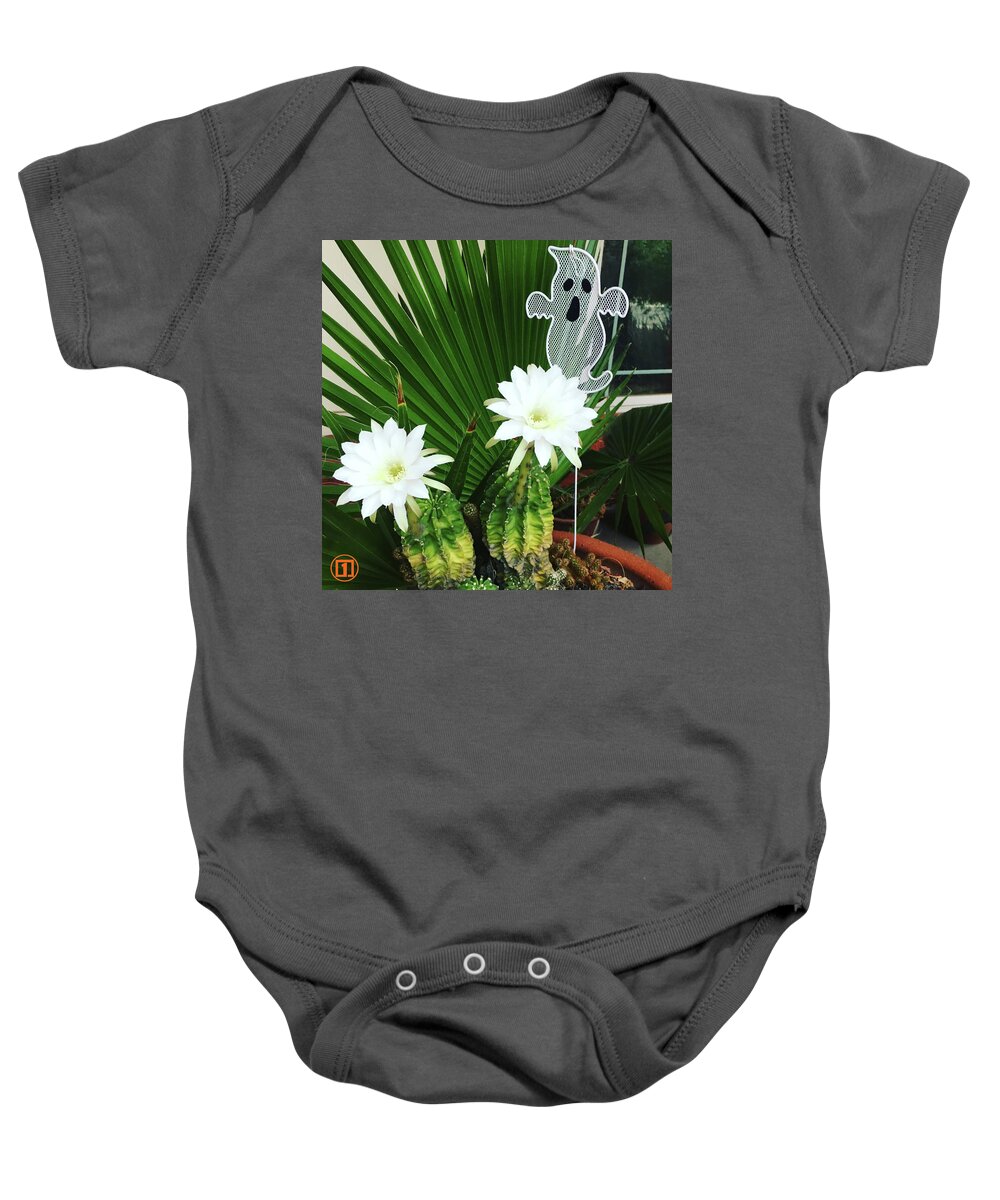 Cactus Baby Onesie featuring the photograph Ghost Cactus by Grey Coopre