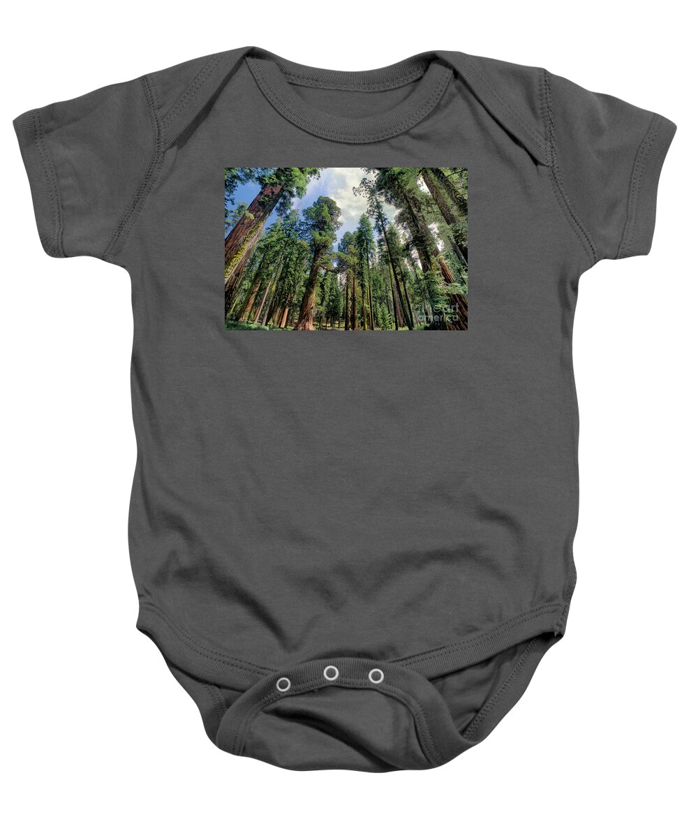 Dave Welling Baby Onesie featuring the photograph Giant Sequoias Sequoiadendron Gigantium Yosemite by Dave Welling