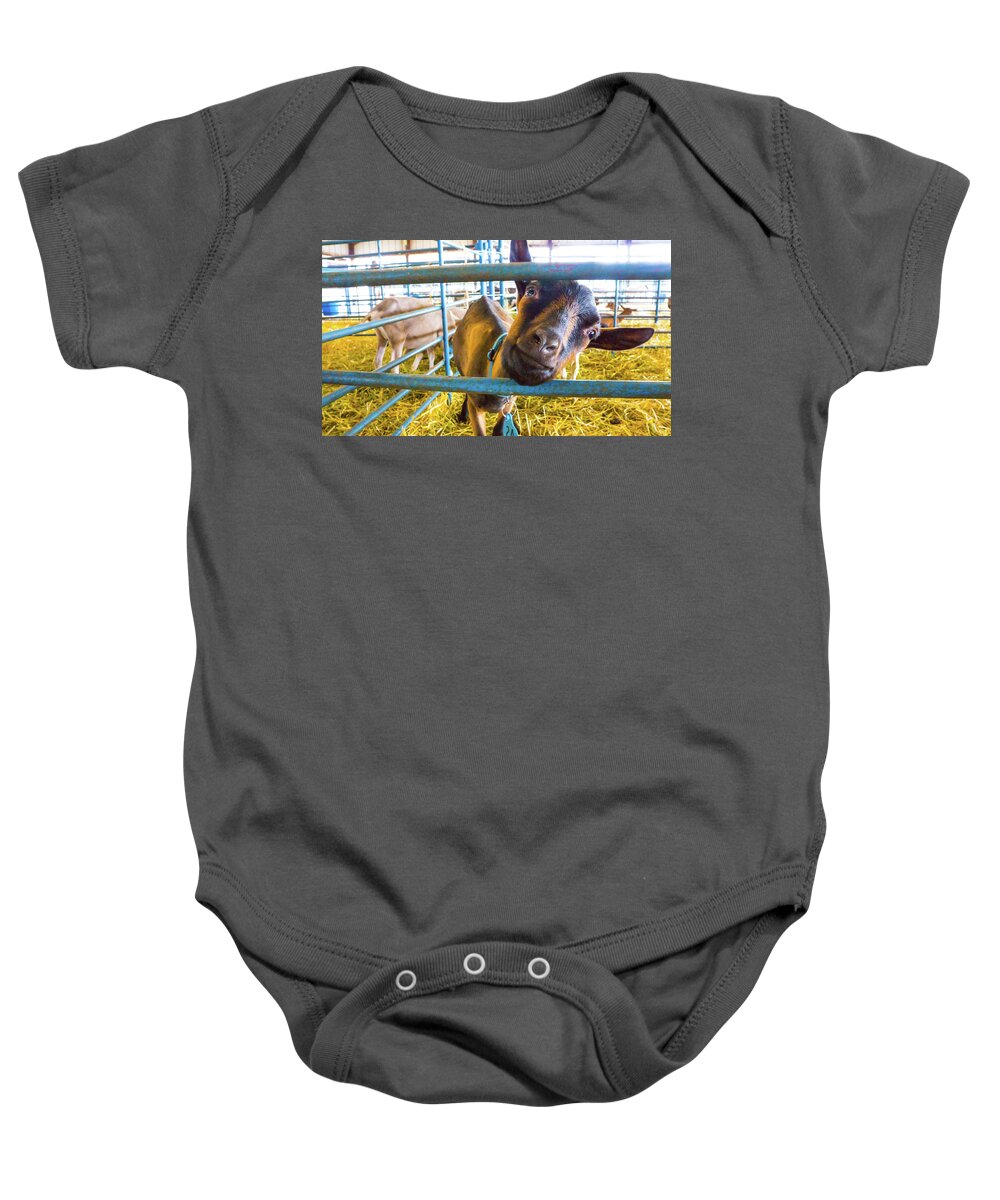 Goat Pen Baby Onesie featuring the photograph Goat in a pen by David Morehead