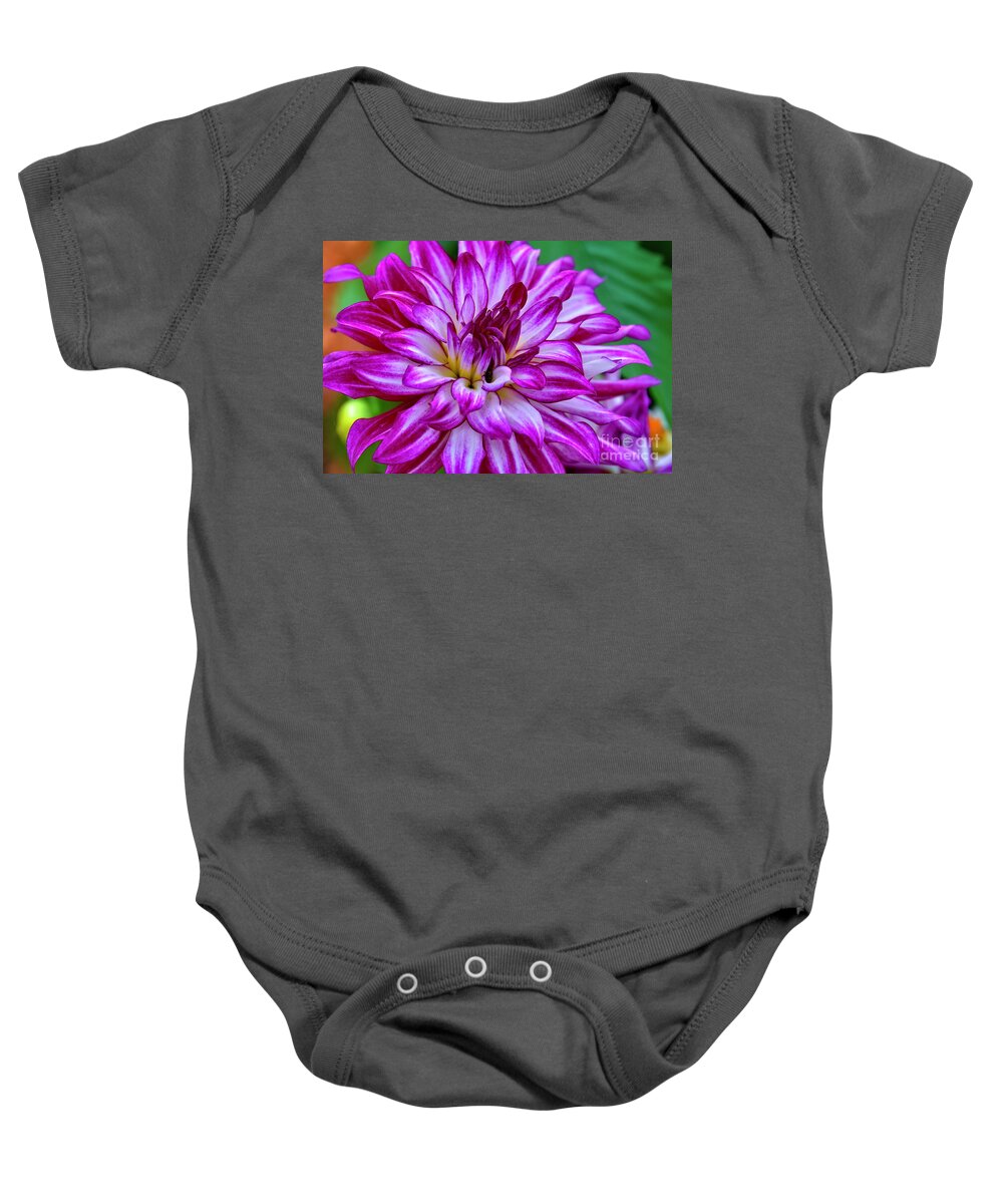 Flower Baby Onesie featuring the photograph GoGo Two Tone Dahlia by Diana Mary Sharpton