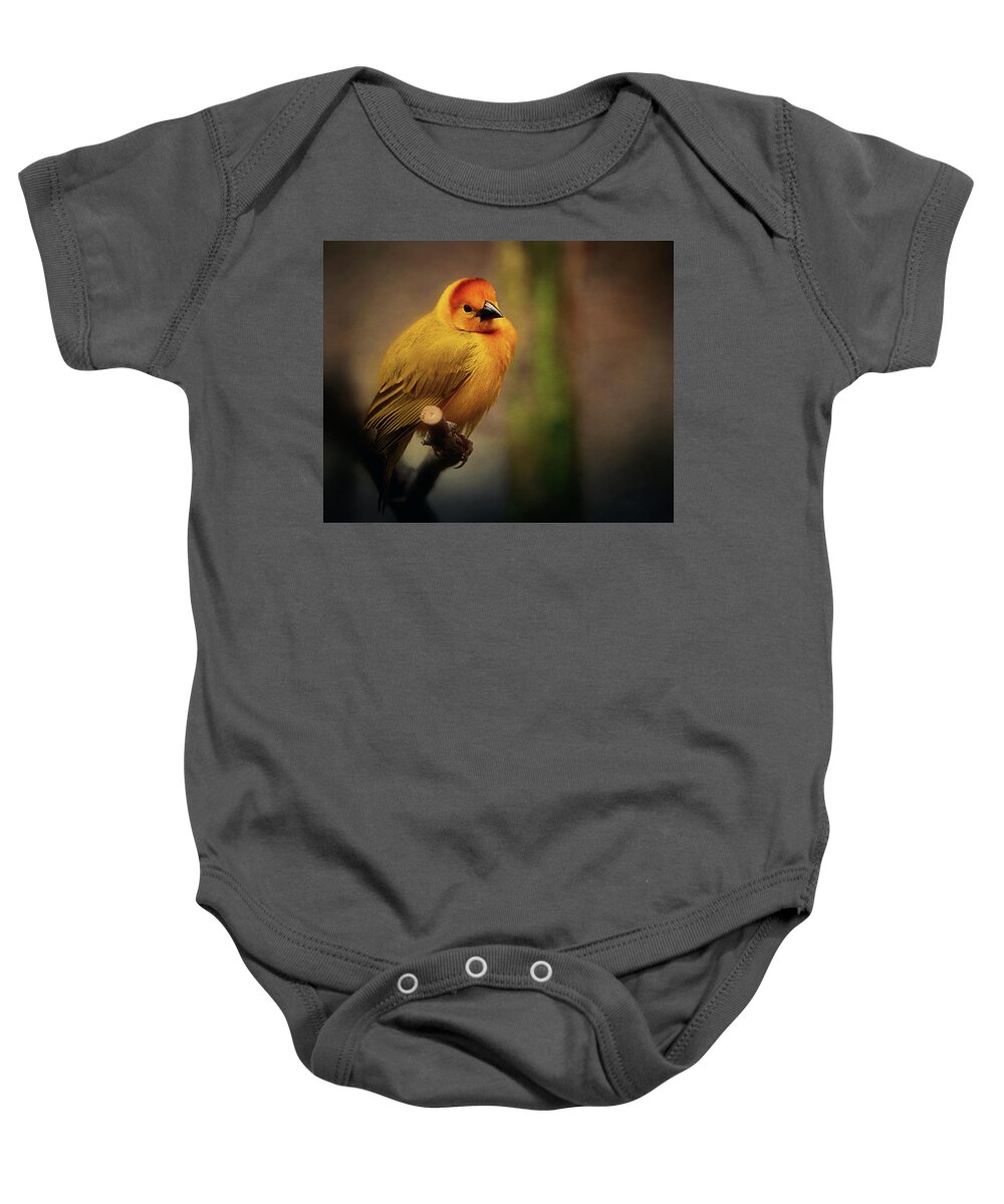 Yellow Baby Onesie featuring the photograph Golden Weaver by Maria Angelica Maira