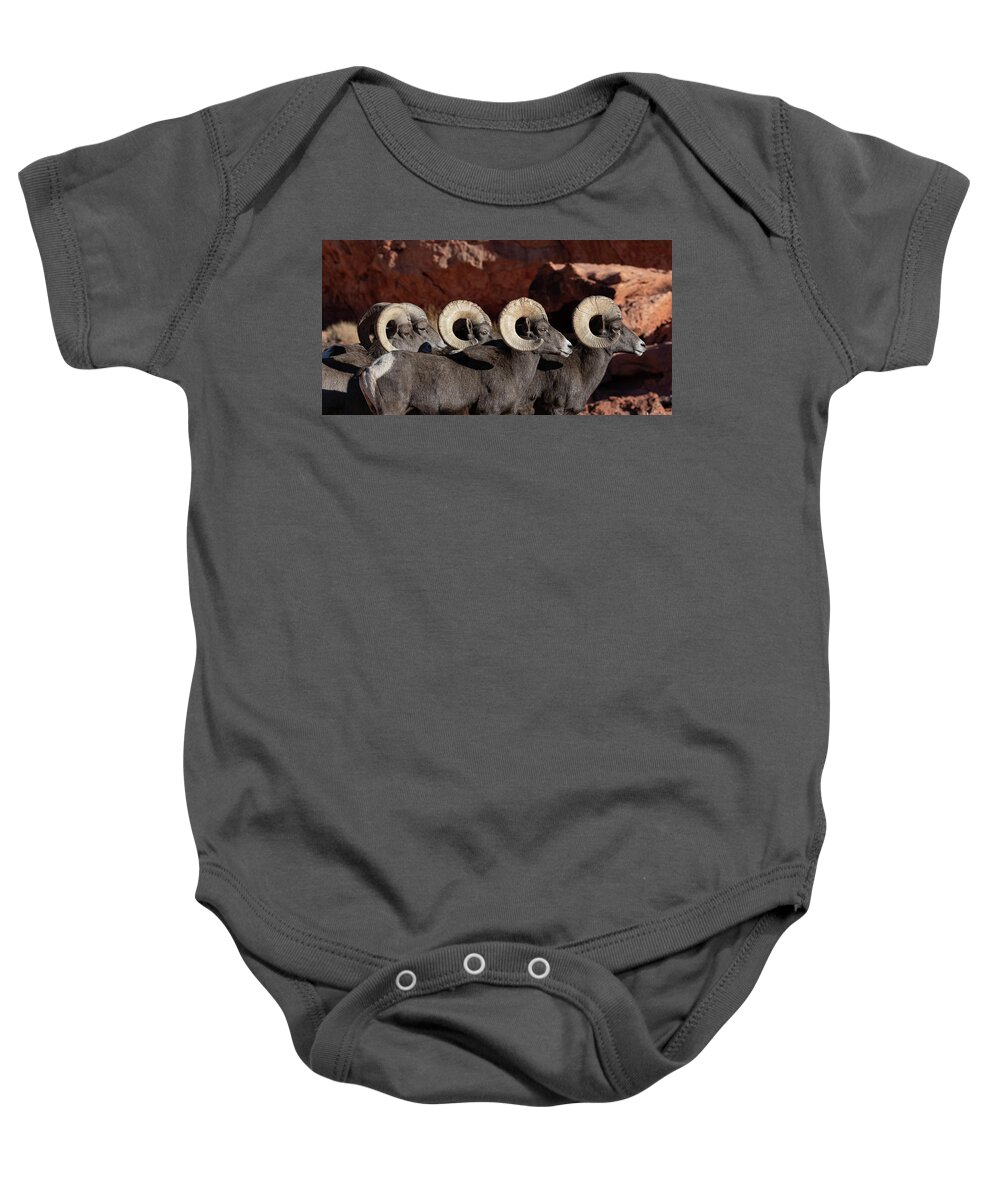 Bighorn Sheep Baby Onesie featuring the photograph Got my Rams in a Row by Mary Hone