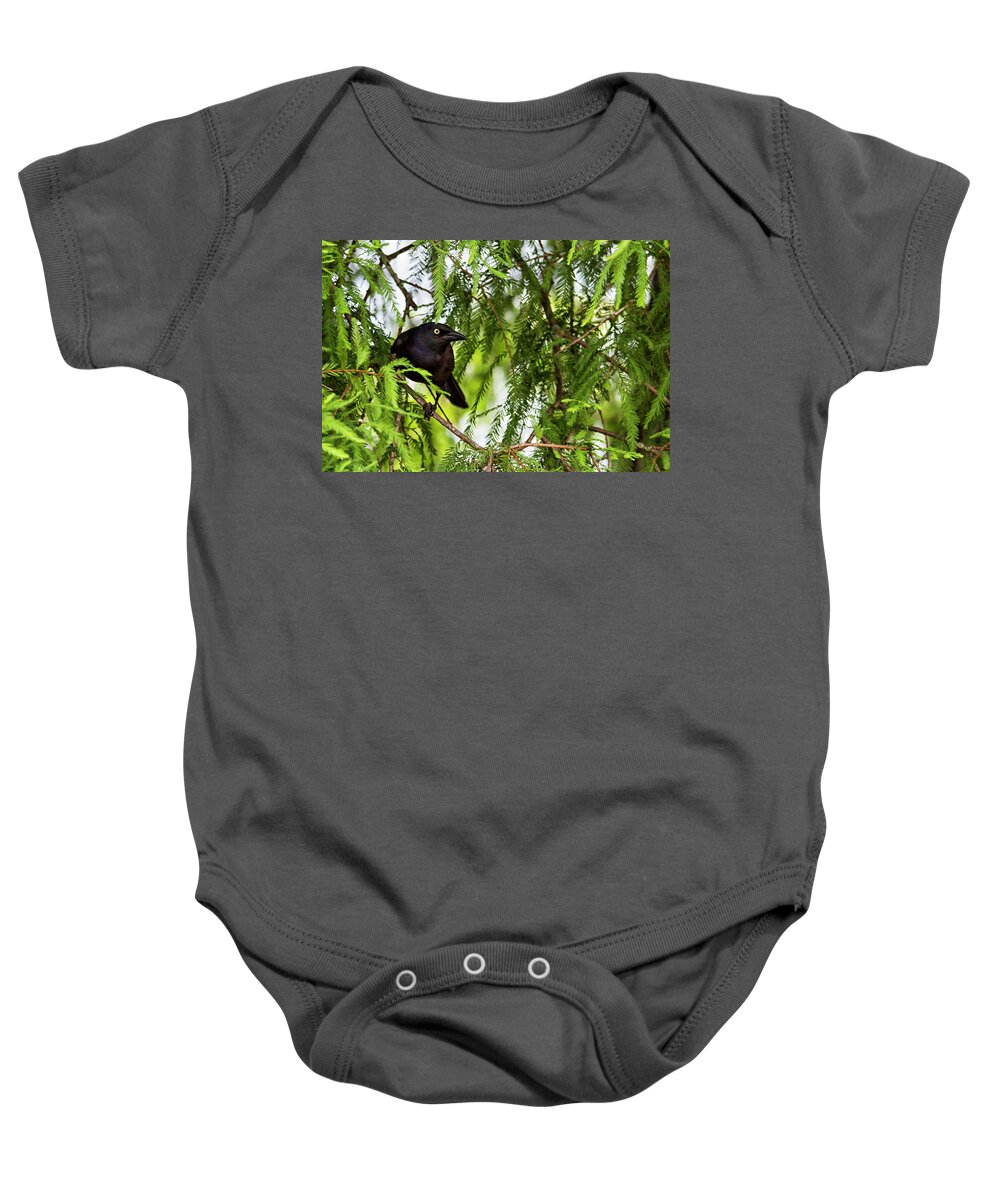Grackle Baby Onesie featuring the photograph Grackle in Neuse River Cypress Tree by Bob Decker