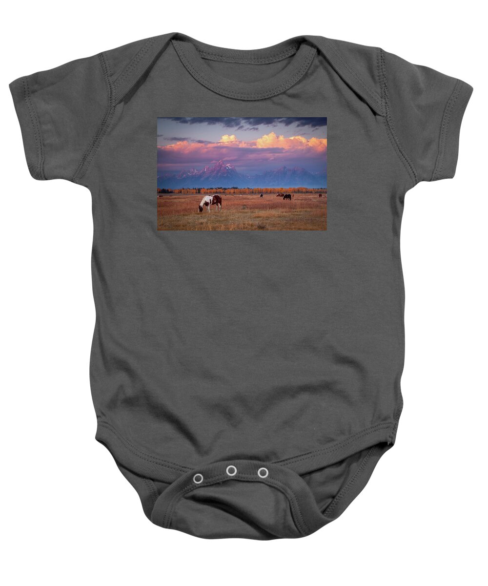 Grand Tetons Baby Onesie featuring the photograph Grand Teton Pasture by Wesley Aston