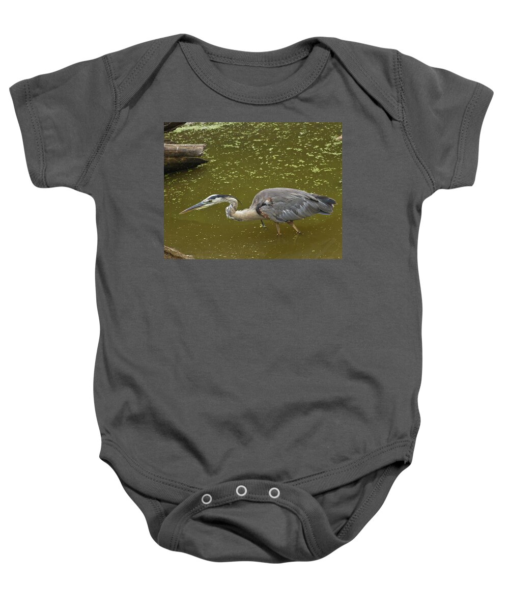 Wildlife Baby Onesie featuring the photograph Great Blue Heron - 7535 by Jerry Owens