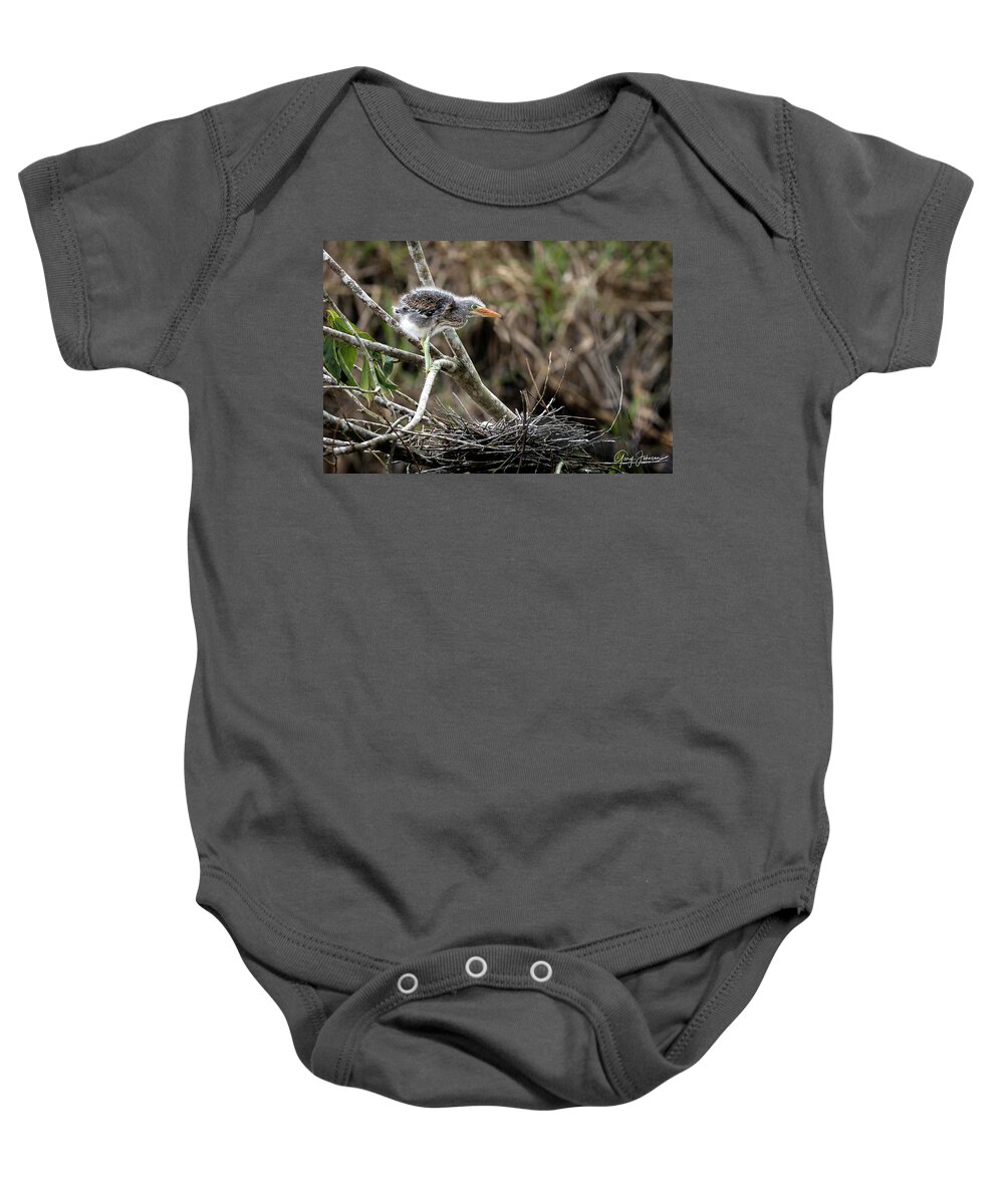Gary Johnson Baby Onesie featuring the photograph Great Blue Heron Fledgling by Gary Johnson