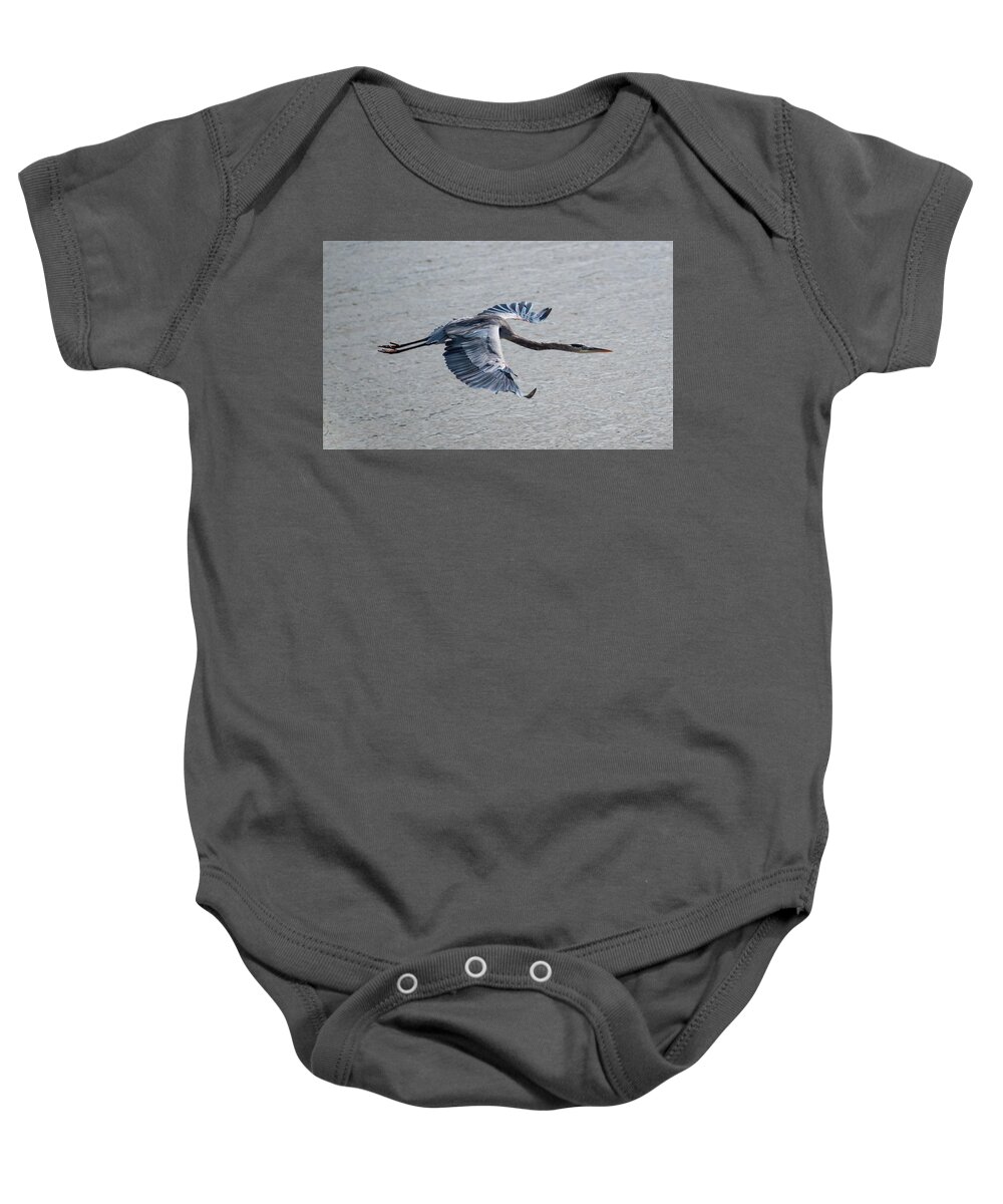 Heron Baby Onesie featuring the photograph Great Blue Heron In Flight by Grant Twiss