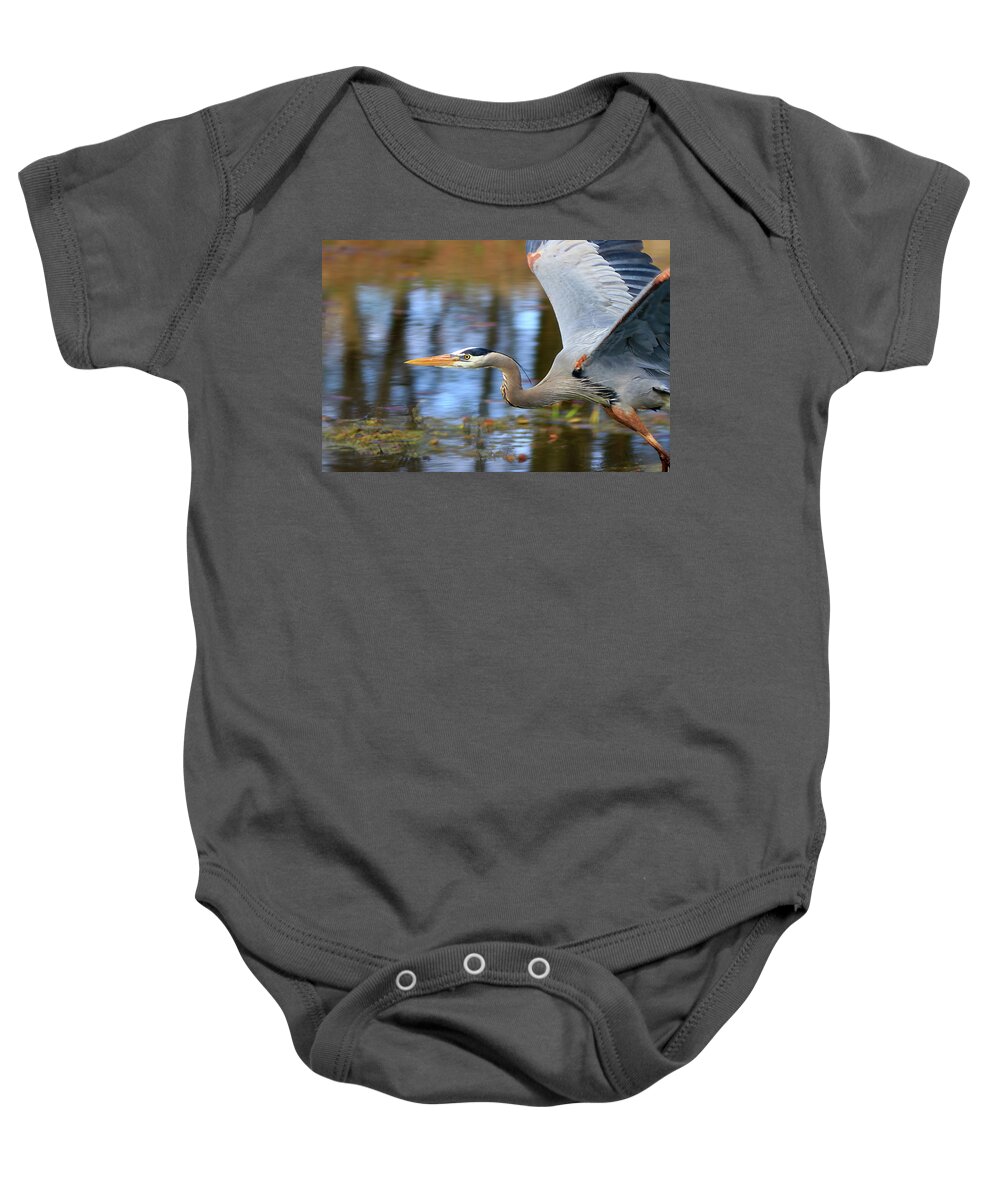 Great Blue Heron Baby Onesie featuring the photograph Great Blue Heron in Flight by Shixing Wen