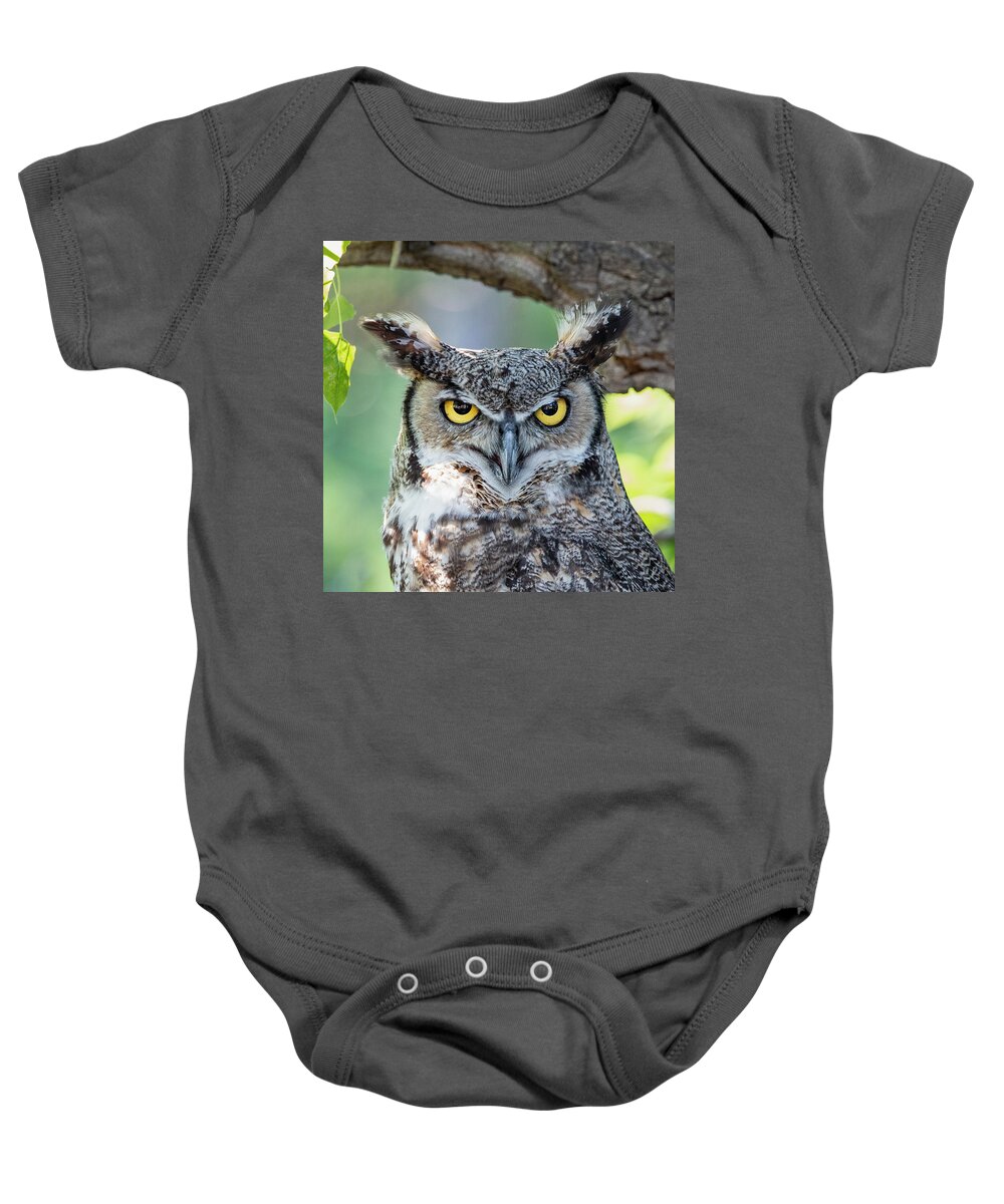 Great Horned Owl Baby Onesie featuring the photograph Great Horned Owl Perched by Dawn Key