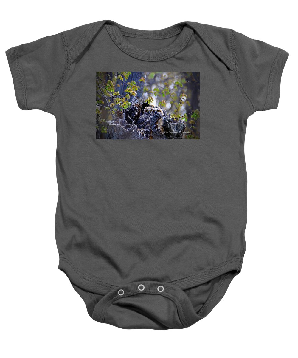 Owls Baby Onesie featuring the photograph Great Horned Owlets by Mary Walchuck