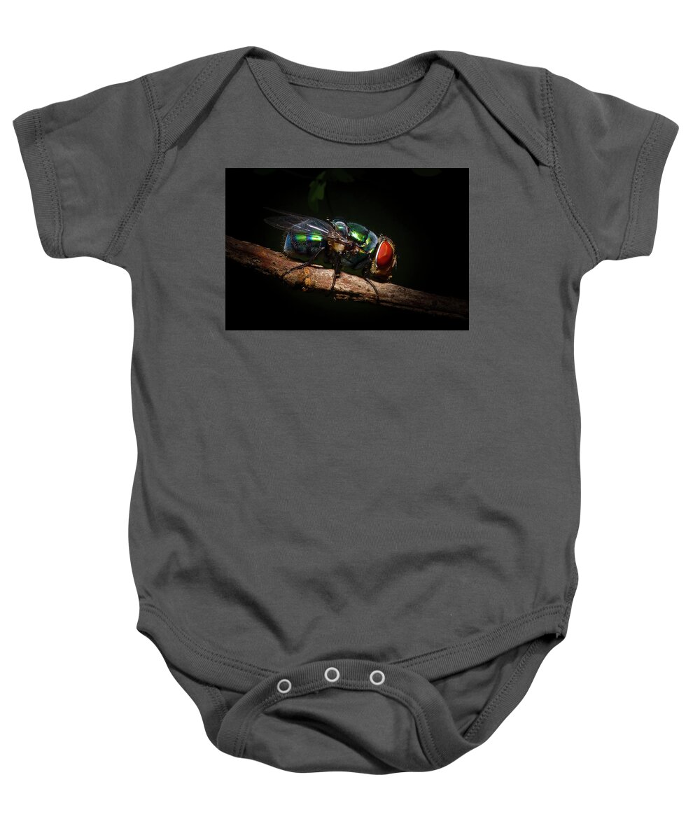 Green Bottle Fly Baby Onesie featuring the photograph Green Bottle Fly by Mark Andrew Thomas