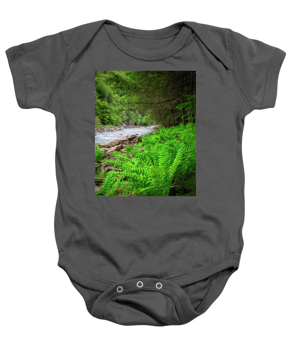 Green Ferns Baby Onesie featuring the photograph Green Ferns Loyalsock State Forest by Dan Sproul