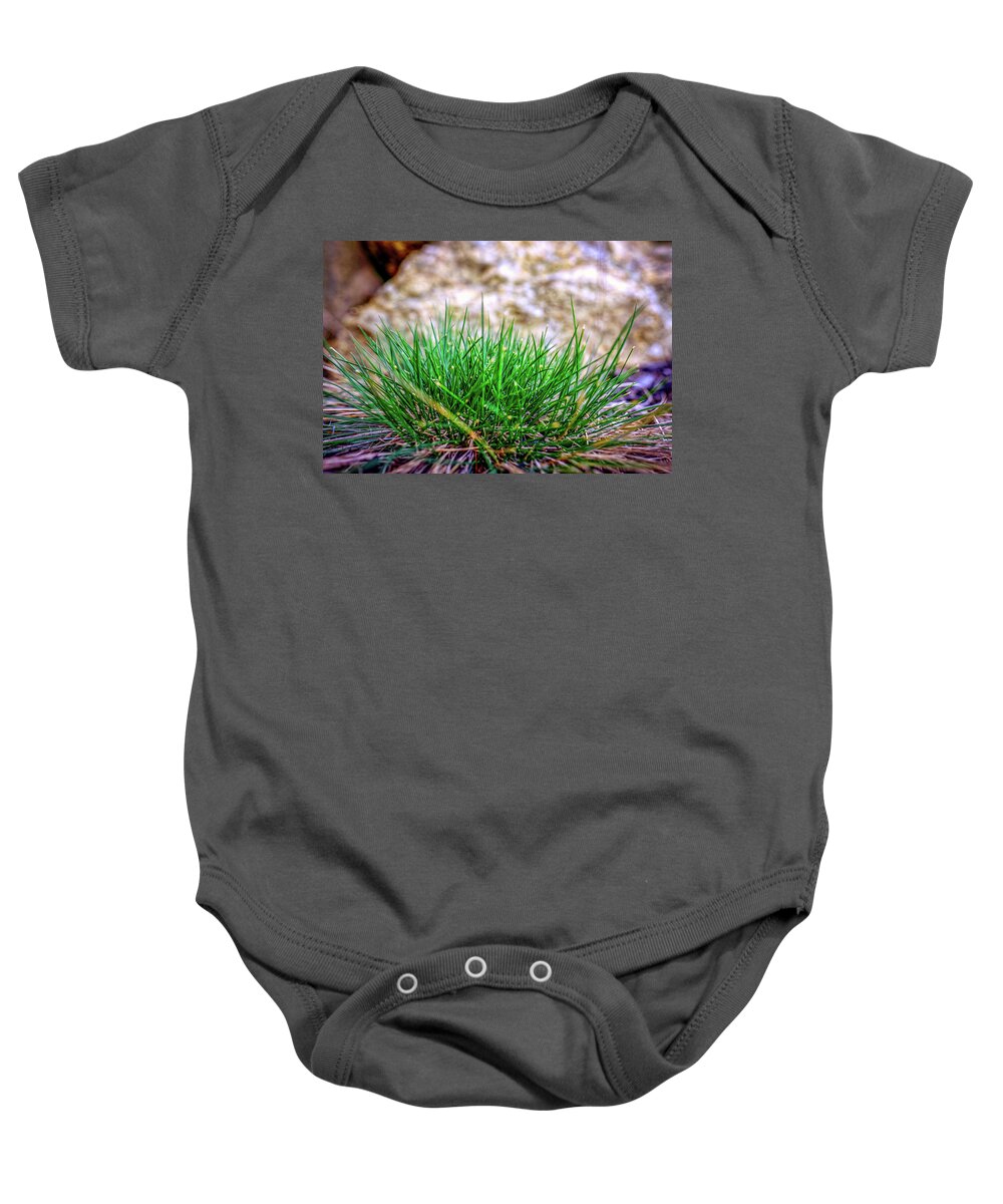 New Hampshire Baby Onesie featuring the photograph Green Grass by Jeff Sinon