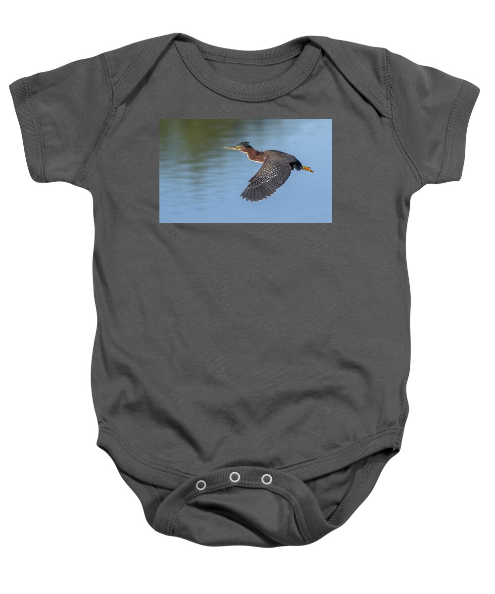 Green Heron Baby Onesie featuring the photograph Green Heron 2201-111121-2 by Tam Ryan