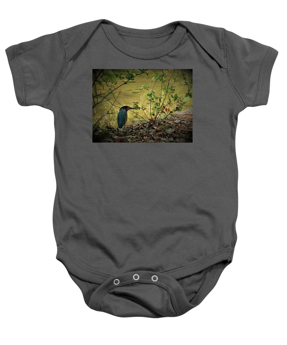 Green Heron Baby Onesie featuring the photograph Green Heron Strolling by Beverly M Collins
