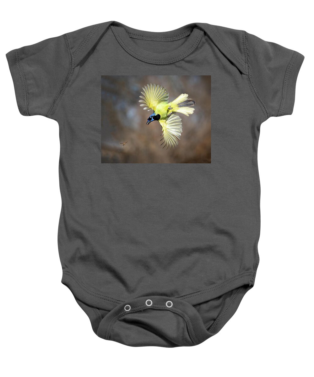 Green Jays Baby Onesie featuring the photograph Green Jay chasing Wasp by Judi Dressler