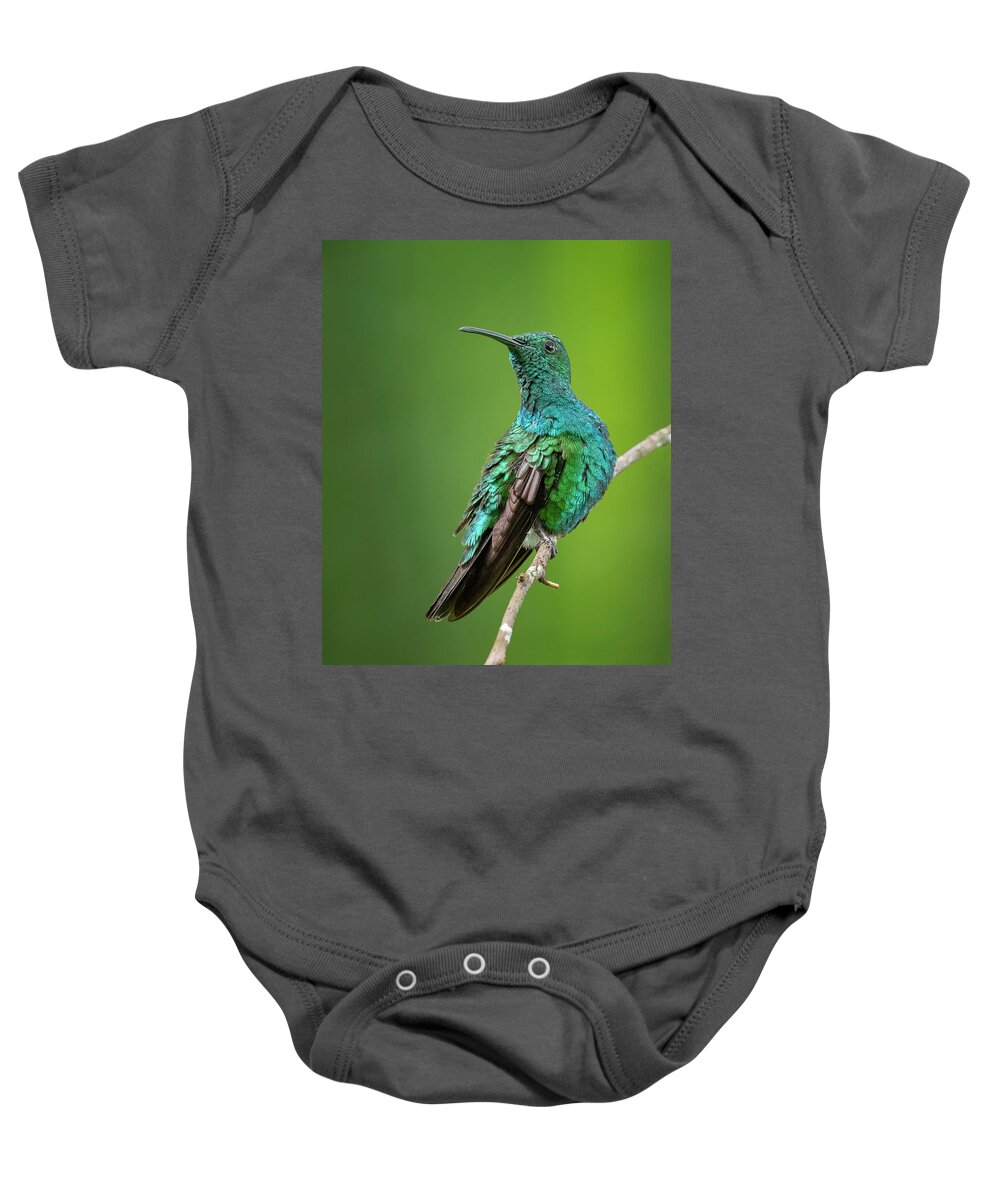 Hummingbird Baby Onesie featuring the photograph Green Mango Hummingbird by Denise Saldana