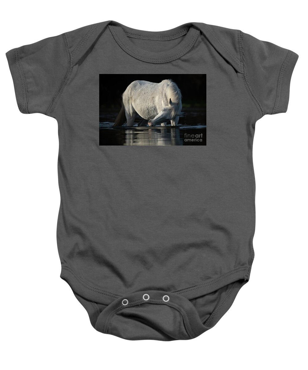 Salt River Wild Horse Baby Onesie featuring the photograph Grey Beauty by Shannon Hastings
