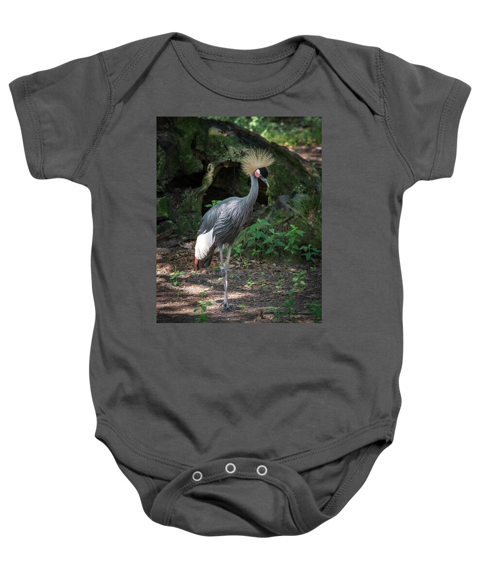 Bird Baby Onesie featuring the photograph Grey Crowned Crane-1 by John Kirkland