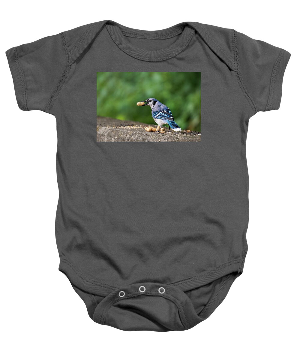 Blue Jay Baby Onesie featuring the photograph Happy Blue Jay with Peanut by Ilene Hoffman