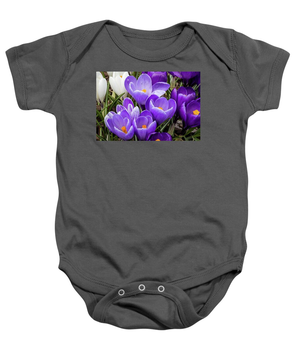 Crocus Baby Onesie featuring the photograph Harbinger of Spring by Craig A Walker
