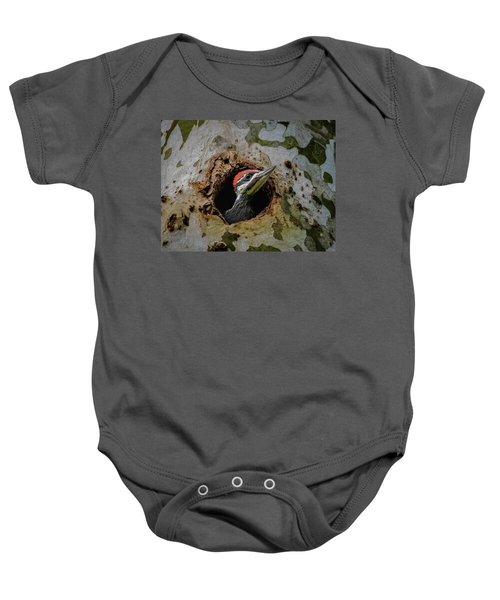 Pileated Baby Onesie featuring the photograph Hello world by Brian Shoemaker