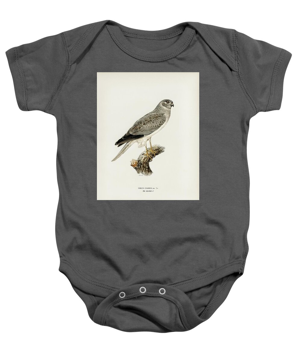 Vintage Print Baby Onesie featuring the mixed media Hen Harrier by World Art Collective
