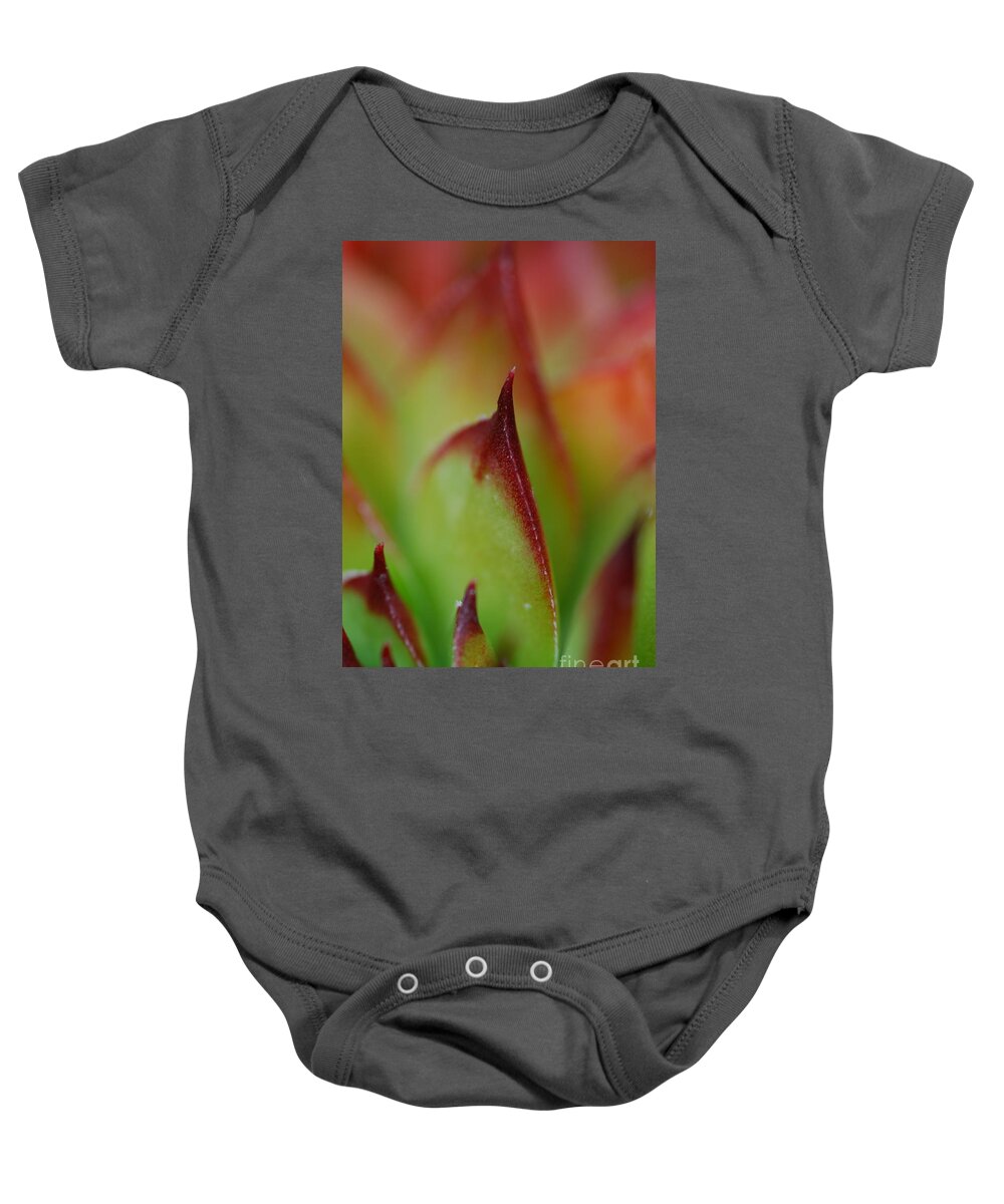 Hens And Chicks Baby Onesie featuring the photograph Hens And Chicks #9 by Stephanie Gambini