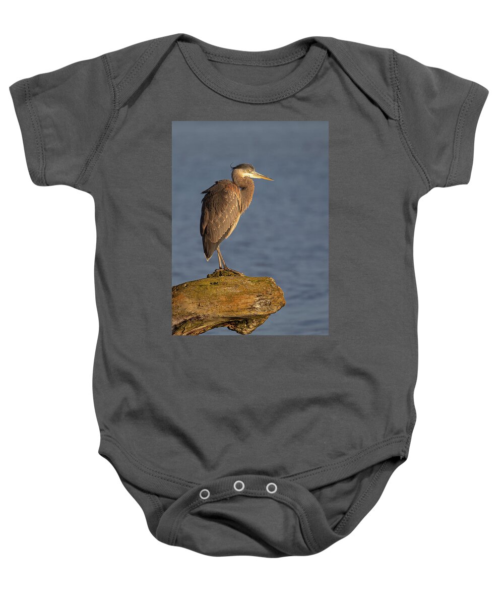Blue Heron Baby Onesie featuring the photograph Heron Sunset Vertical by Michael Rauwolf