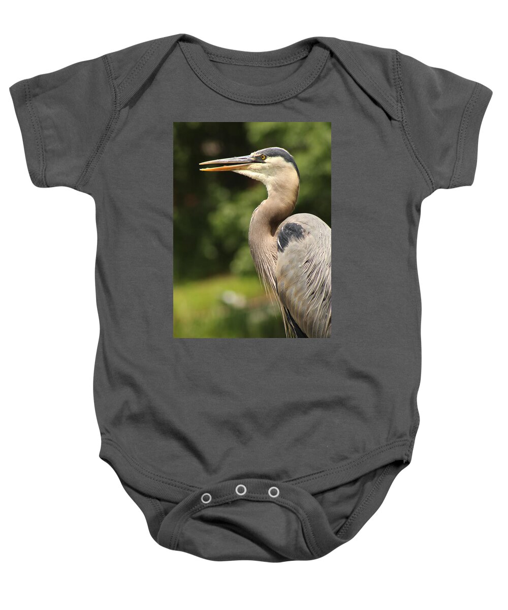 Jane Ford Baby Onesie featuring the photograph Heron's Profile by Jane Ford