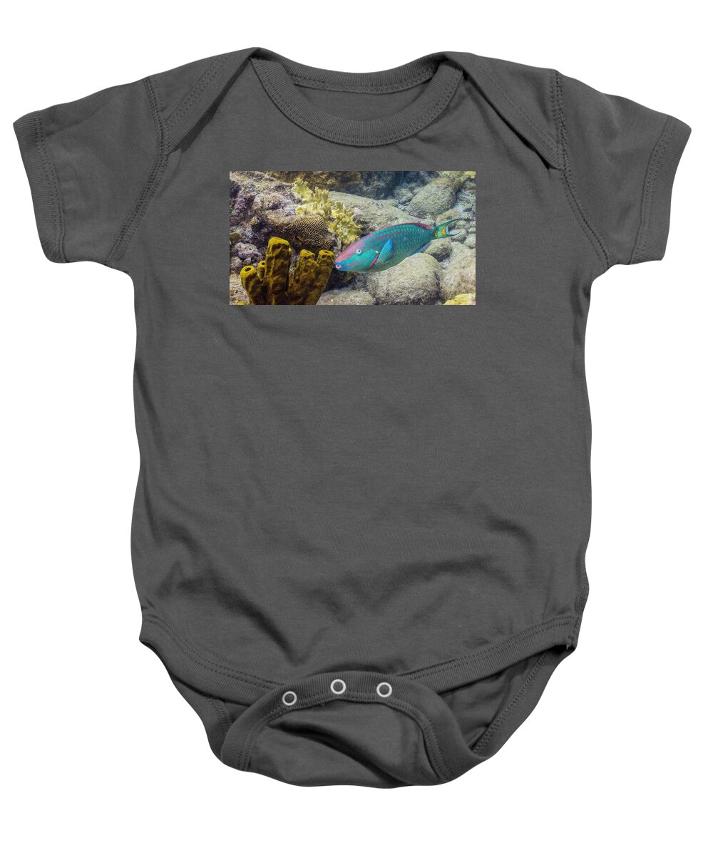 Animals Baby Onesie featuring the photograph Hey Good Lookin' by Lynne Browne
